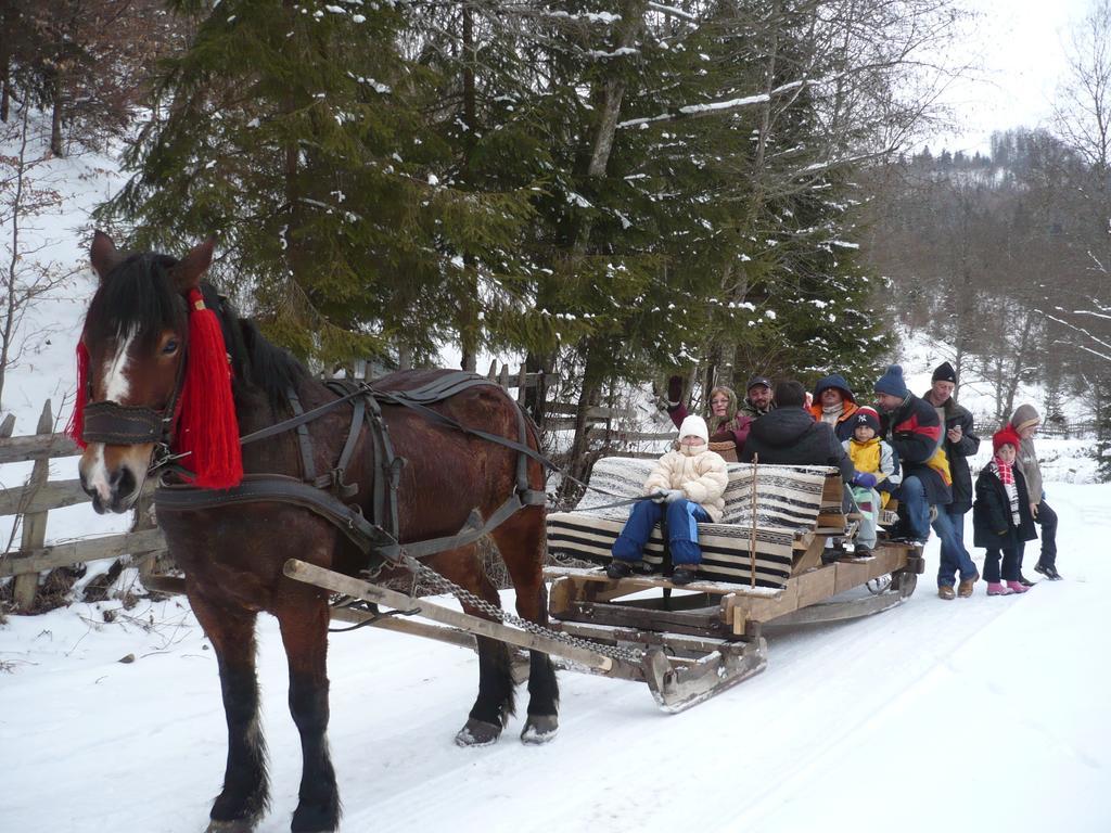 Villa Casa Bunicii Din Bucovina Vama  Zimmer foto